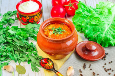 Суточные щи из квашеной капусты классические