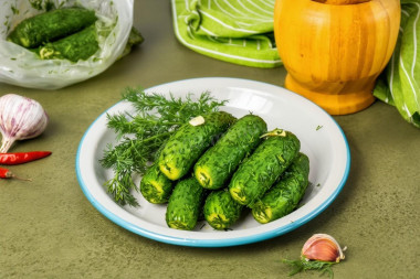 Огурцы малосольные в пакете с чесноком и укропом