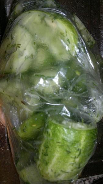 Рецепт - Быстрые малосольные огурцы в пакете с солью - Шаг 4 -  Завернули пакет и в холодильник на 20-30 минут.