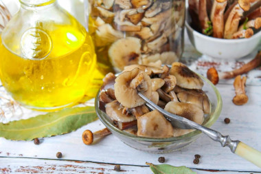 Как солить опята на зиму в банках горячим способом