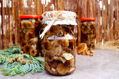 Маринованные опята с укропом на зиму