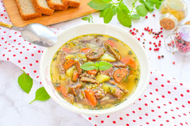Суп с грибами мясом и картошкой