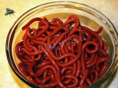 Мармеладные червячки