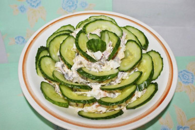 Салат с шампиньонами огурцом яйцом ветчиной и сыром