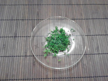 Рецепт - Салат со свиной печенью и морковью - Шаг 8 -  Мелко шинкуем укроп.