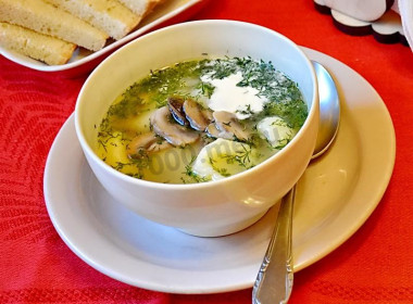 Грибной суп на мясном бульоне