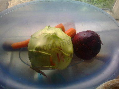 Рецепт - Салат из кольраби, моркови, свеклы - Шаг 1 - Берем все овощи: кольраби, морковь, свекла, примерно в равных количествах, и среднюю луковицу.