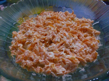 Рецепт - Салат из черной редьки Нежный - Шаг 4 -  Натертую морковь разместить поверх редьки и смазать майонезом.