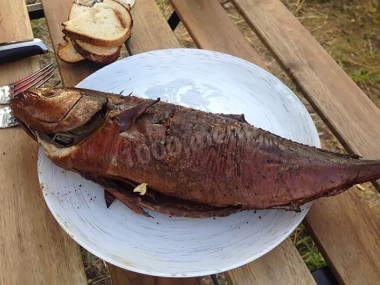 Копченая лакедра