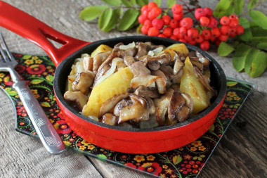 Маслята с луком и с картошкой