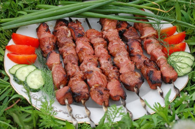 Шашлык из мяса нутрии на углях