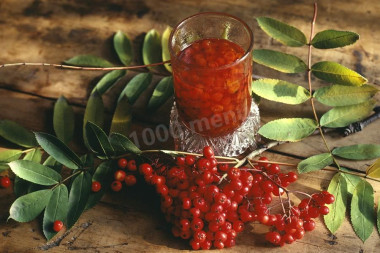 Настойка из красной рябины