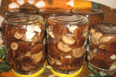 Как солить горькушки