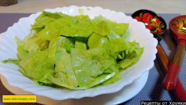 Салат из латука с оливковым маслом