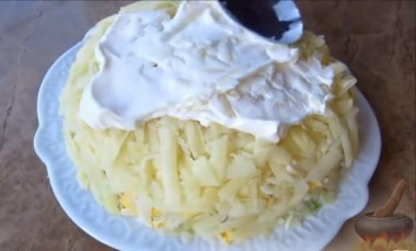 Рецепт - Слоёный салат Ёлочная Игрушка с красной рыбой - Шаг 8 -  Следующий слой - натереть картофель на крупной тёрке. Смазать майонезом, распределяя ровным слоем.