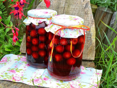Компот из алычи на литровую банку на зиму
