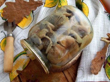 Засолка волнушек холодным способом на зиму