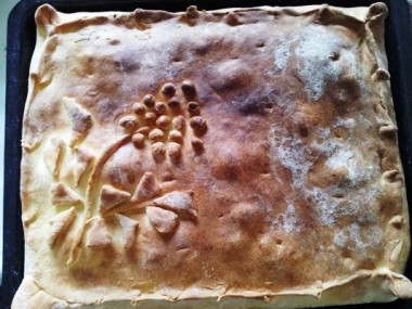 Дрожжевой пирог с мясом и рисом