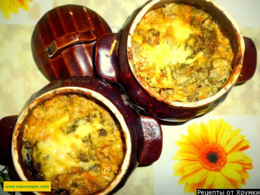 Говяжья печень в сметане с луком и кетчупом