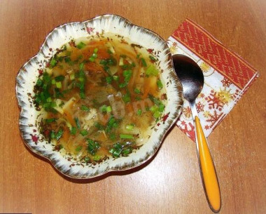 Щи из свежей капусты с мясом говядины
