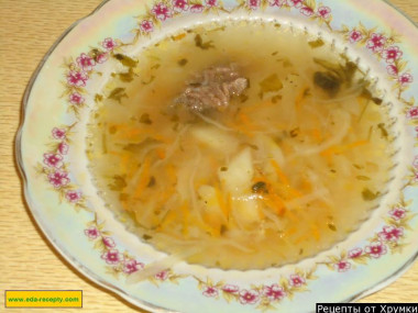 Щи кислые с говядиной