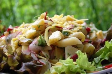 Картофельный салат с редиской и зеленью