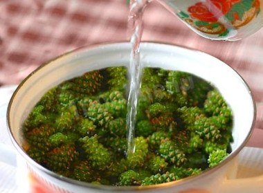 Варенье из сосны