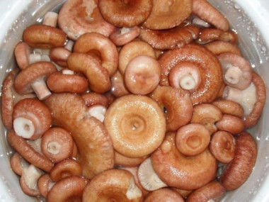 СОЛЕНЫЕ ВОЛНУШКИ...