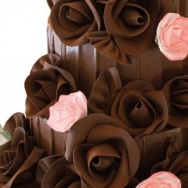 Шоколадная мастика. Тест, проблемы, решения