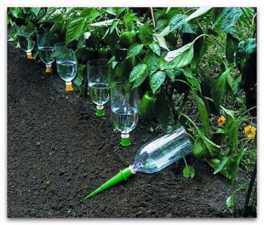 Самоувлажняемые колбы, Капельный полив