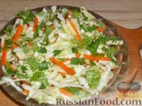 Салат из капусты с морковью и яблоками