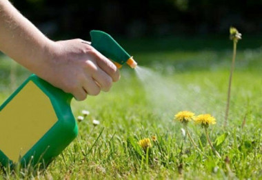 ЭМ-ПРЕПАРАТЫ