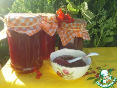 Желе из красной смородины без варки