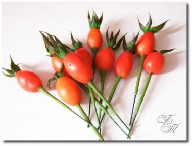 Мастер-класс “Шиповник” 