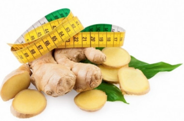 Всё для и о похудении