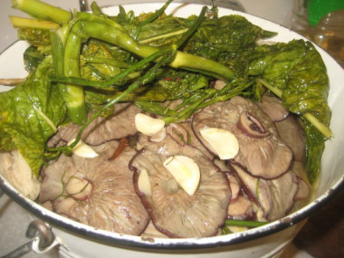 Заготовка грибов