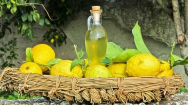 Алкогольный напиток «Лимончелло» — живительный бальзам для тела и души