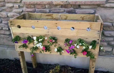 каскадная цветущая клумба 