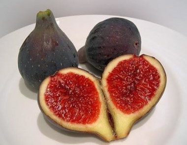 Выращиваем ИНЖИР ДОМА