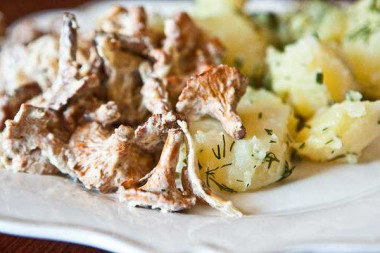 Лисички со сметаной