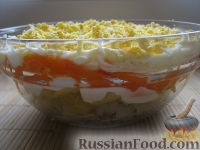 Салат «Мимоза»