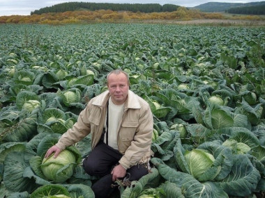 СОСТАВ ОТ БОЛЕЗНЕЙ РАСТЕНИЙ! 