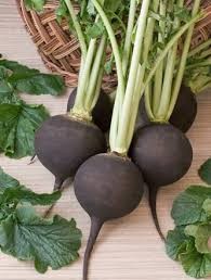 Салаты из чёрной редьки