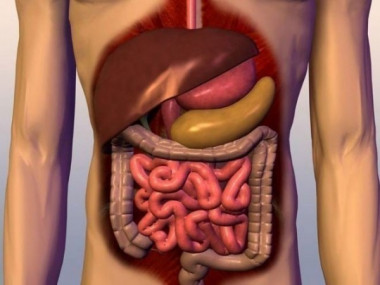 ДЕРЖИ КИШЕЧНИК В ЧИСТОТЕ! 