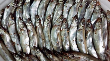 Килька пряного посола