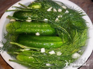 Малосольные огурцы с водкой