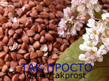 Гречка 5 рецептов