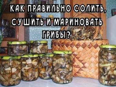 КАК ПРАВИЛЬНО СОЛИТЬ, СУШИТЬ И МАРИНОВАТЬ ГРИБЫ?