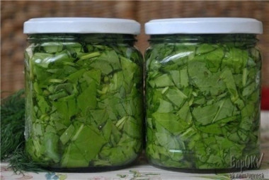 Щавель консервированный
