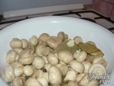 Быстрые маринованные грибочки
